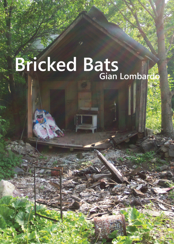 Cover of Bricked Bats